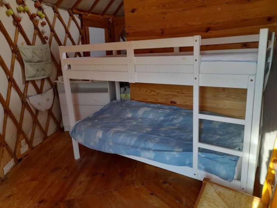 Charmante Yourte Contemporaine Carmaux Экстерьер фото